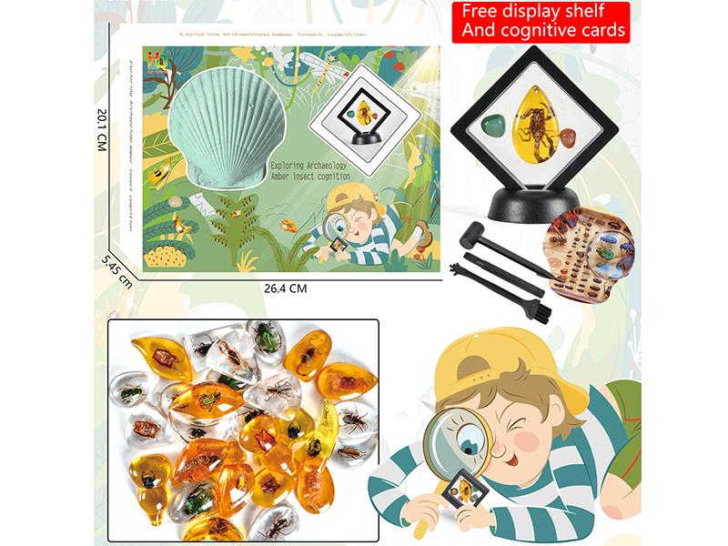 Amber Insect Archaeological(Send A Display Rack)