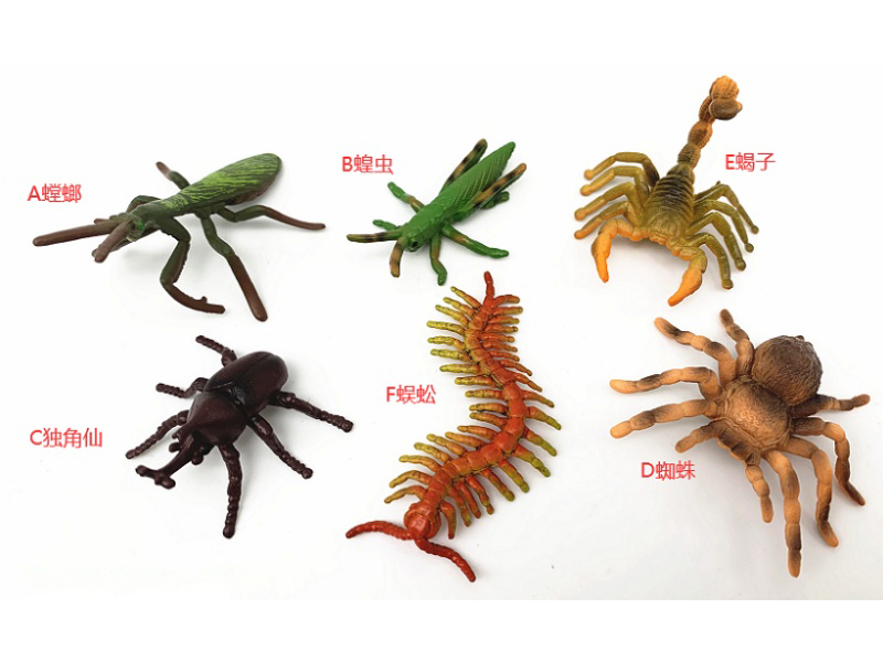 Mini 6-Insect Set (A Mantis, B Locust, C Scorpion, D Rhinoceros Beetle, E Centipede, F Spider)