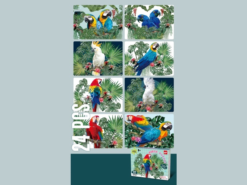 A 24-Piece Jigsaw Puzzle