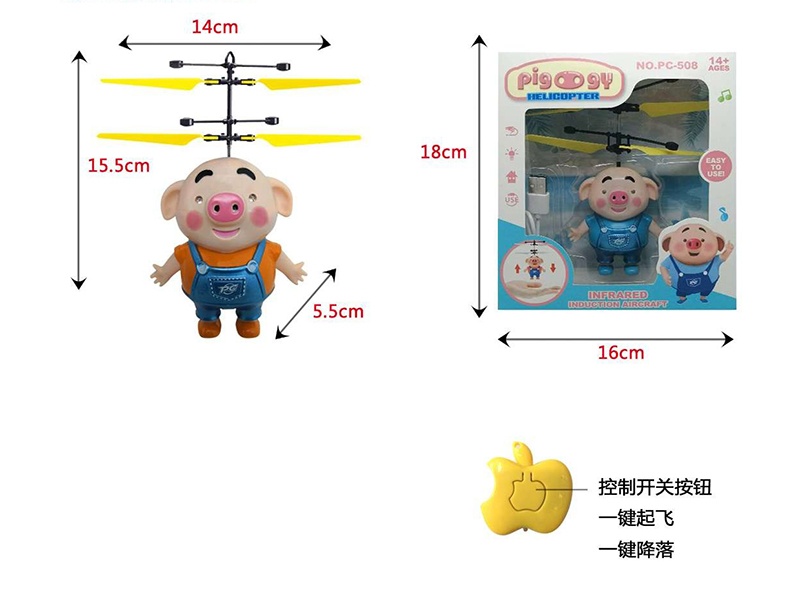 Seagrass Pig Sensing Aircraft