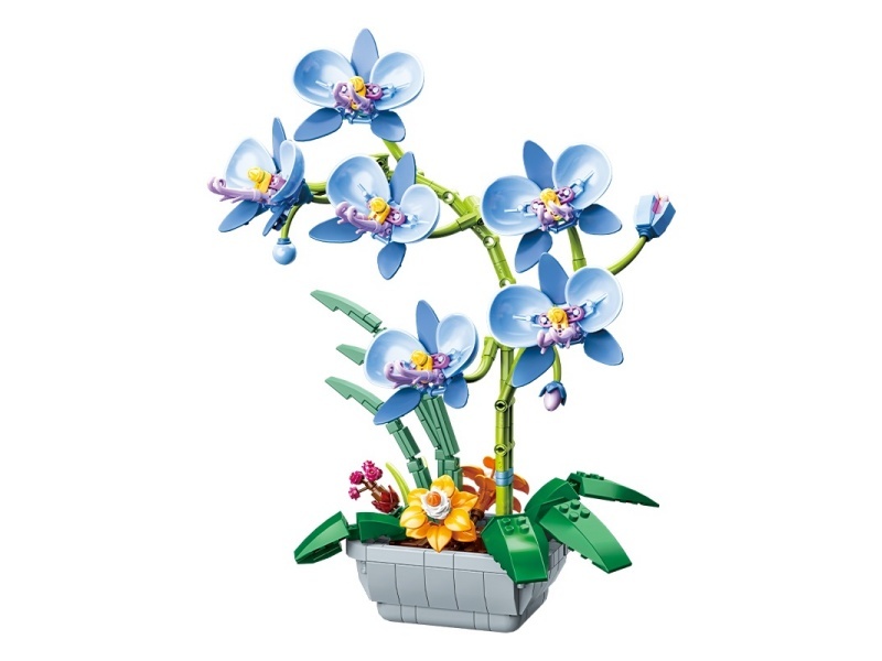 Phalaenopsis Building Blocks(Blue)