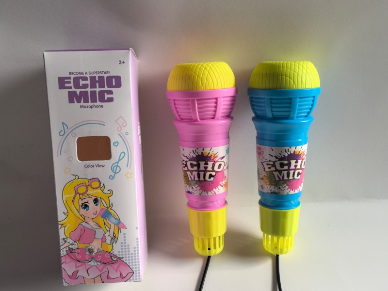 Echo Microphone