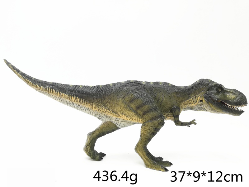 New Tyrannosaurus Rex