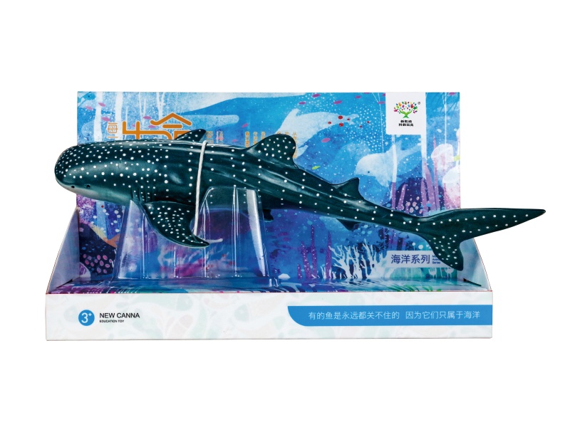 13-Inch Whale Shark