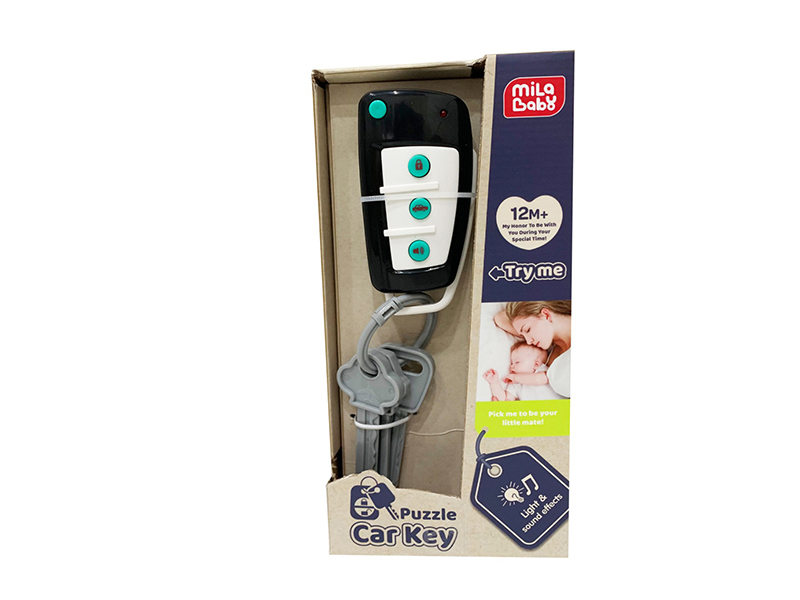 Puzzle Car Key