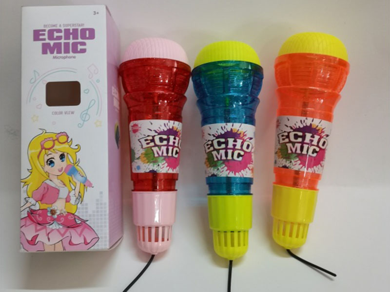 Echo Microphone