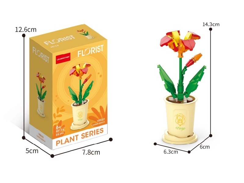 Virgo Beauty Focal Focus 59 Pcs