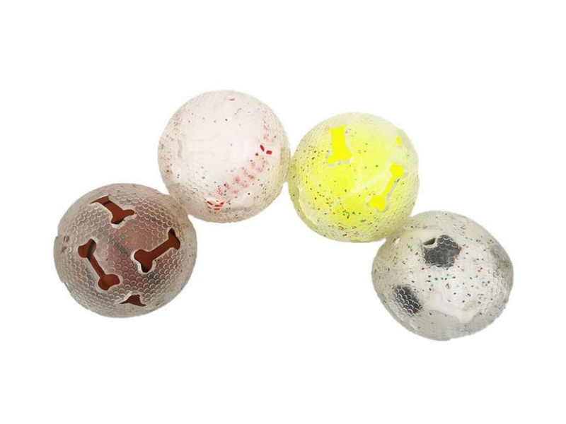 Transparent Sports Bone Ball Pet Toy