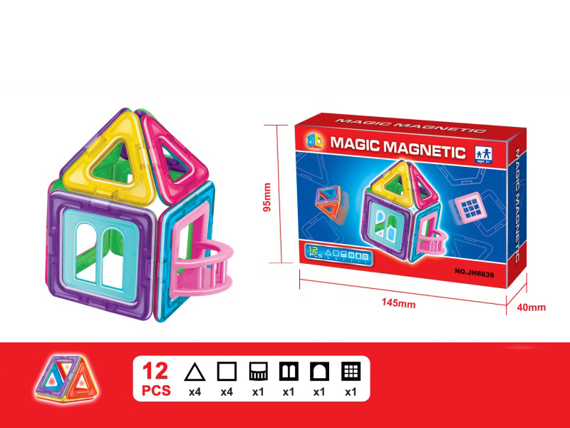 Magnetic Building Blocks(12pcs)