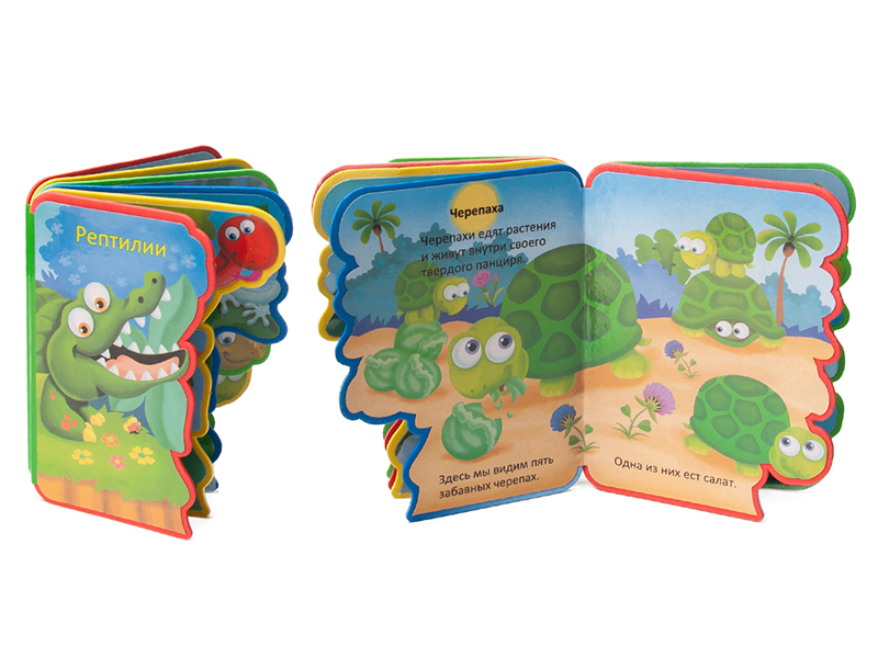 Russian EVA Story Early Education Book