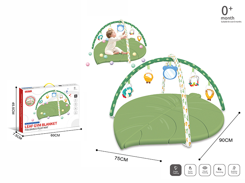 Baby Gym Blanket + Cloth Book + Baby Rattles + 20 Ocean Balls