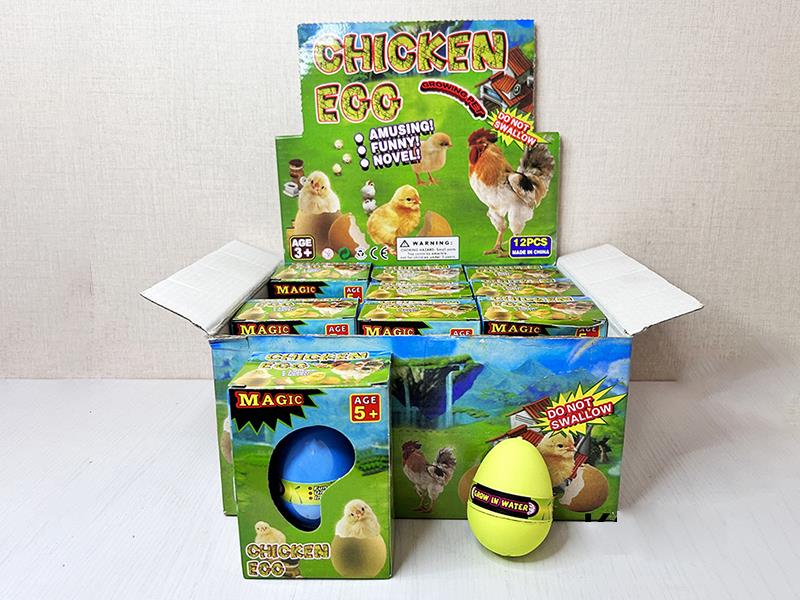 Growing Chicken Eggs 12pcs