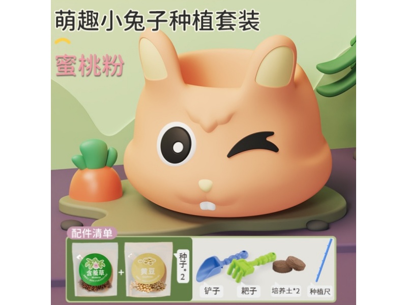 Rabbit Flowerpot Planting Set
