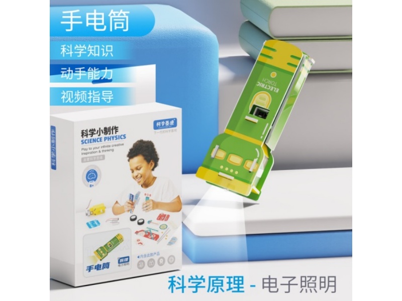 Electric Torch Science Physics Set
