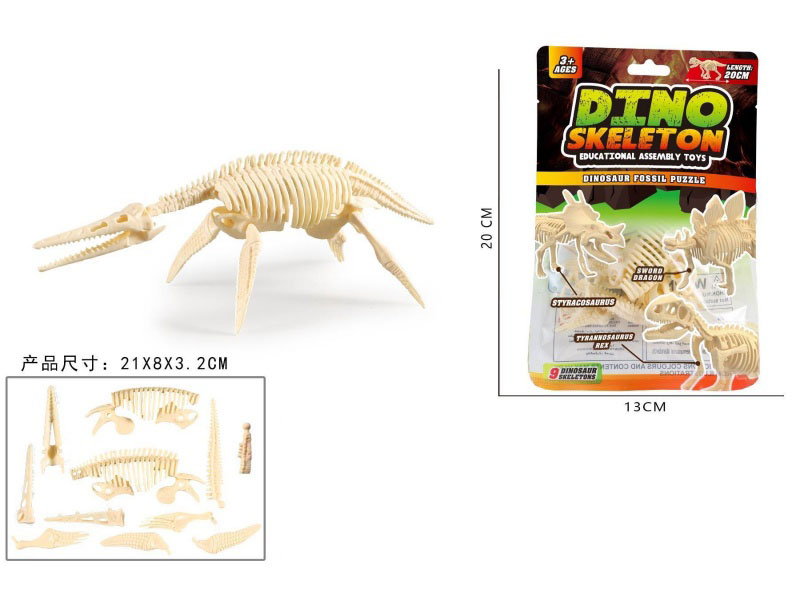 Assemble The Mosasaurus Skeleton