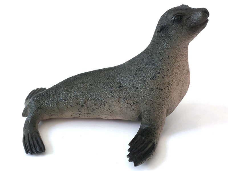 A Black Sea Lion With Black Dots