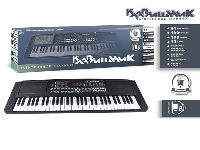 61-Key Russian Multi-Functional Electronic Organ With Digital Function, Usb Connection Cable, Microphone (Black)