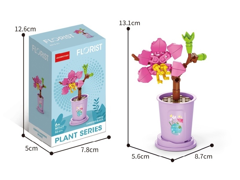 50 Pcs Of Bauhinia Flowers In Heavy Snow