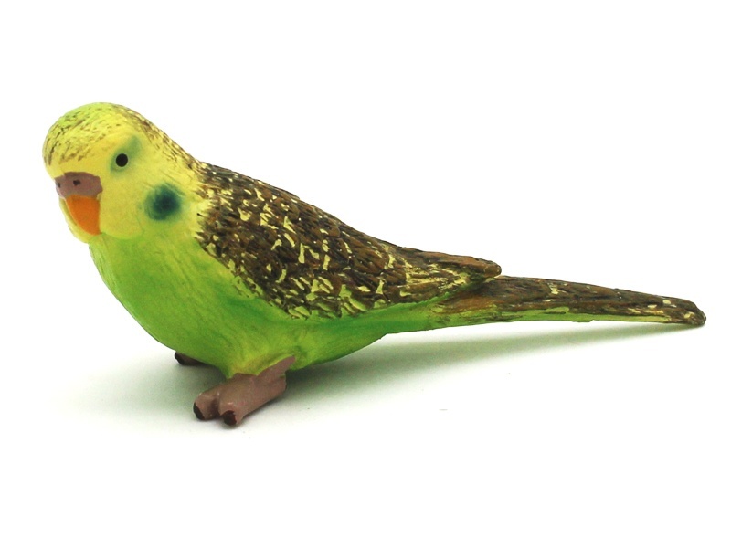 Parrot (Green