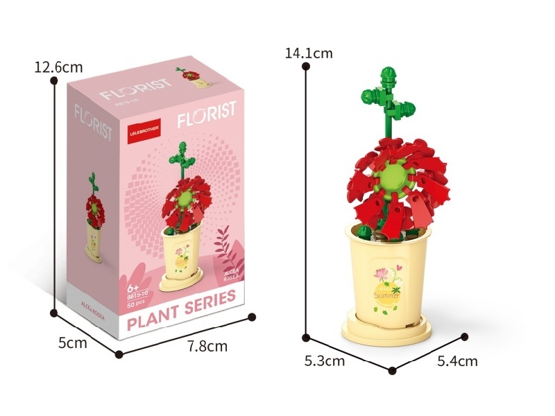 50 Pcs Of Summer Solstice Hibiscus